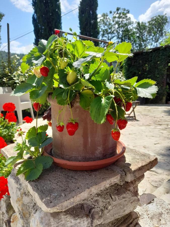 Volver B&B Spoleto Exteriér fotografie